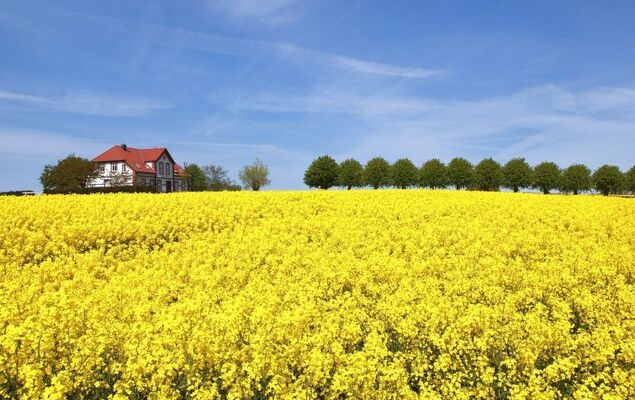 Gollwitzer Park (Insel Poel) - Photo 17