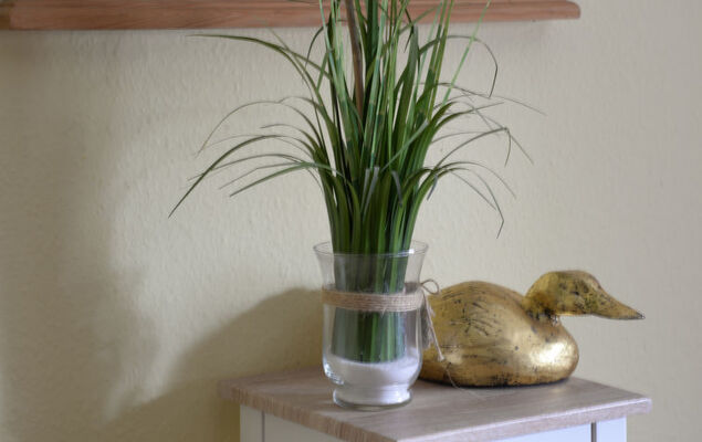 Berghof Hohe ganzes Haus - Photo 19