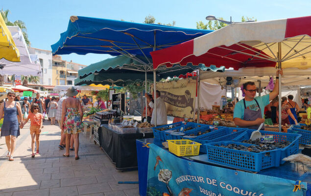 Les Captivantes II - Photo 24