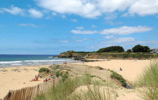 Hortensias 1 - Photo 19