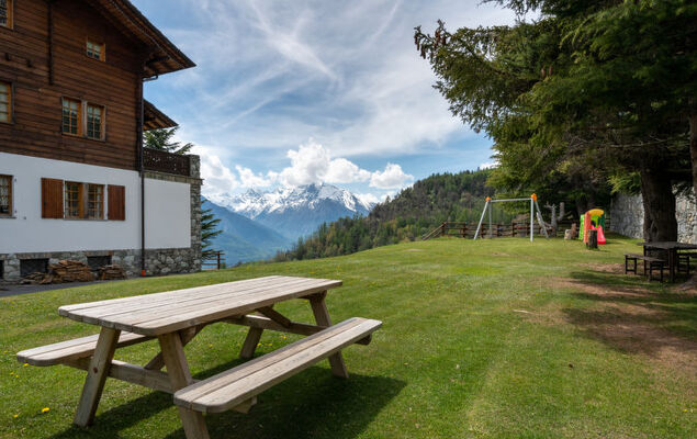 Hérisson - Photo 18