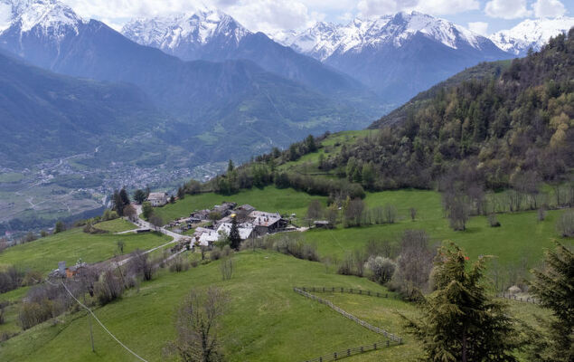 Hérisson - Photo 27