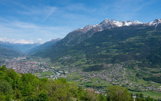 Hérisson - Photo 37